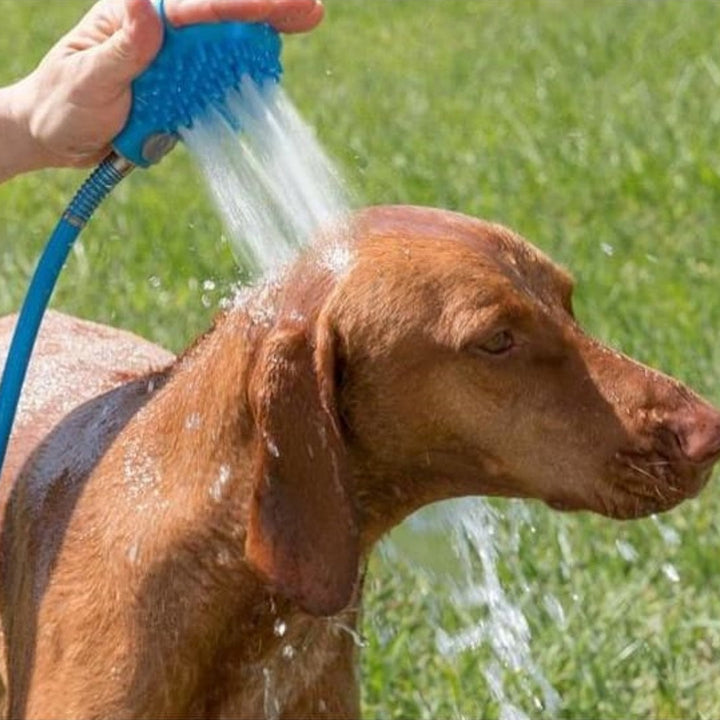 DOG GROOMING & BATH