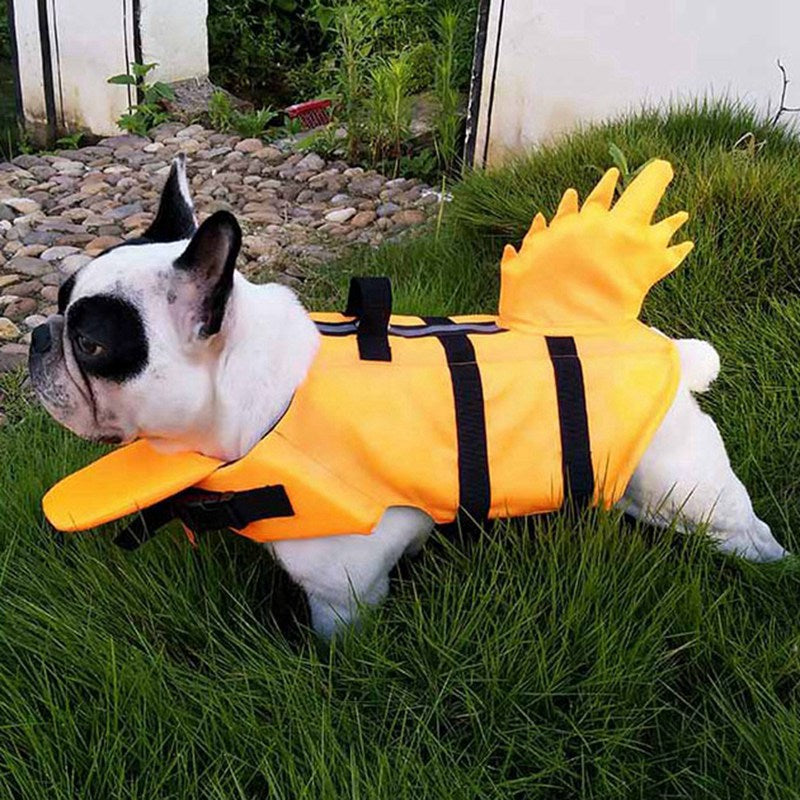 Discover the Dragon Tail Dog Life Jacket