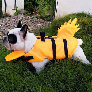Discover the Dragon Tail Dog Life Jacket