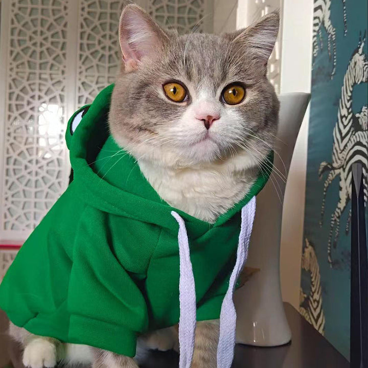 Hop into Style: The Frog Costume Pet Apparel