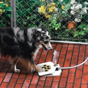 Why Your Dog Deserves the Outdoor Step-On Pet Water Fountain