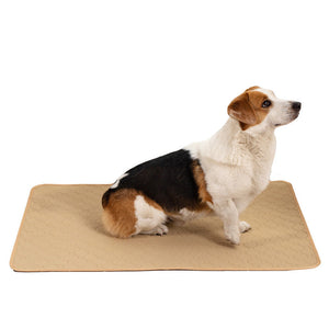 Transform Your Pet Care Routine with the Pets Between The Pad Repeated Water Absorption
