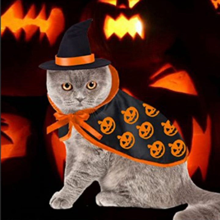 Get Your Pet Ready for Halloween Fun!