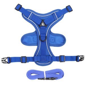 Summer Pet Chest Harness And Leash