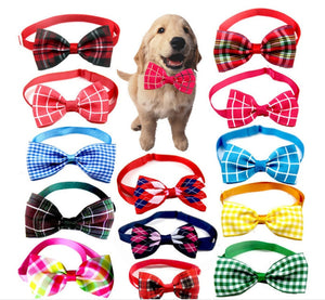 Why Your Pet Needs a Plaid Pet Tie Scarf