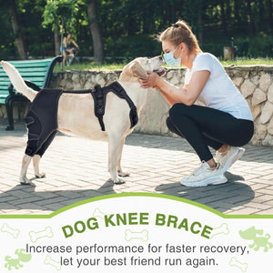 Why Your Pet Needs the Knee Brace Joint Protection Support Strap