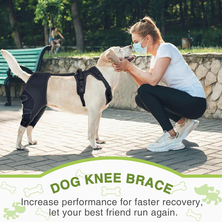 Why Your Pet Needs the Knee Brace Joint Protection Support Strap