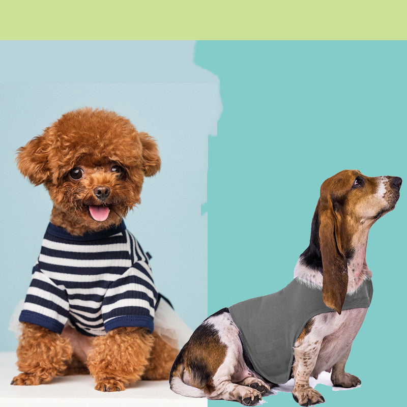 Calming Anxiety Vest for Dogs and Cats: A Must-Have for Your Furry Friends