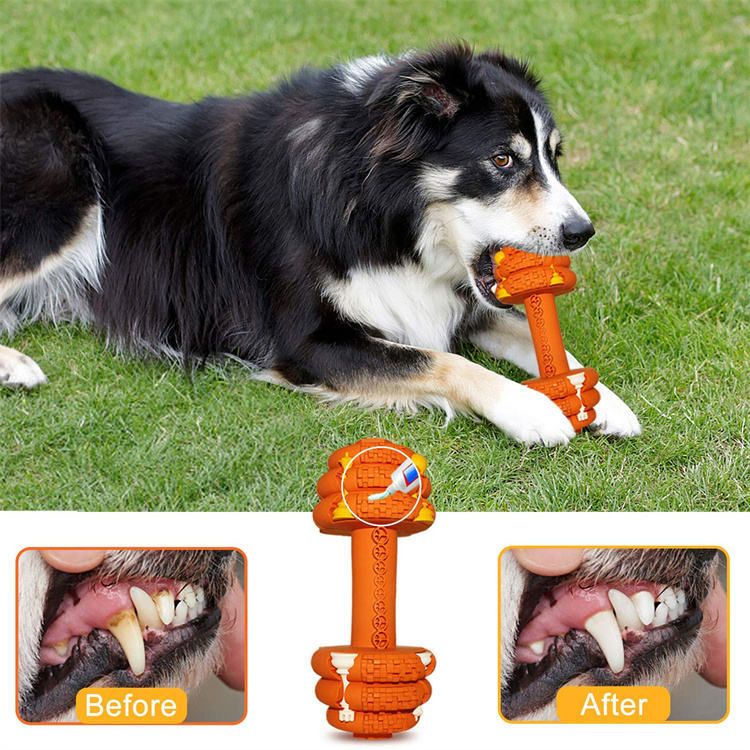 Durable Chew Toys For Aggressive Chewers Food