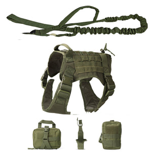 Upgrade Your Outdoor Adventures with the Tactical 5-Piece Adventure Dog Harness Set