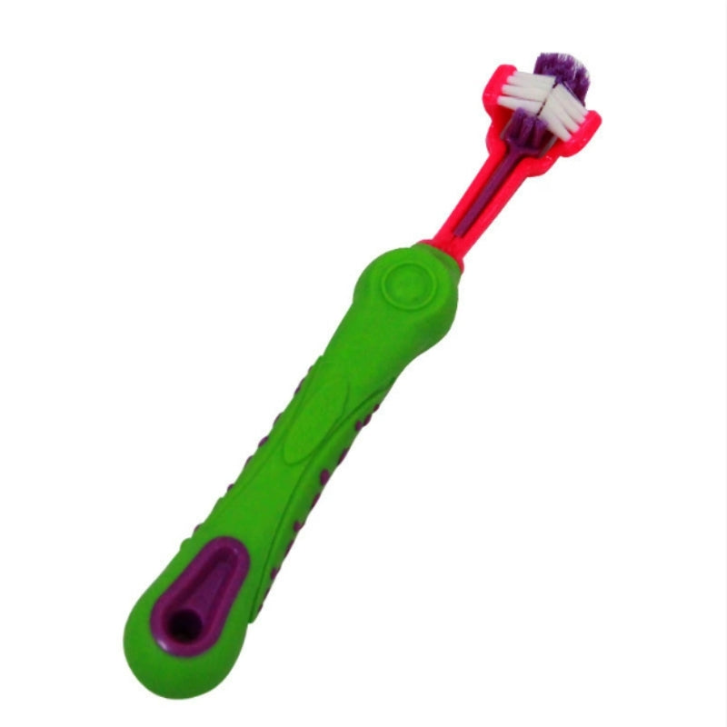 Elevate Your Pet's Oral Care Routine