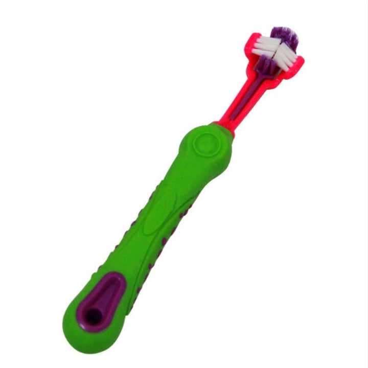 Elevate Your Pet's Oral Care Routine