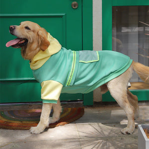 Elevate Your Pet's Style with Our Large Pet Sweater