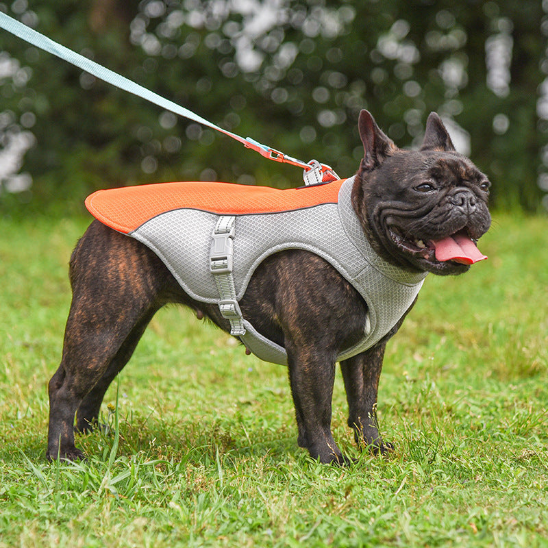 Stay Cool This Summer: The Ultimate Breathable Cooling Vest for Pets