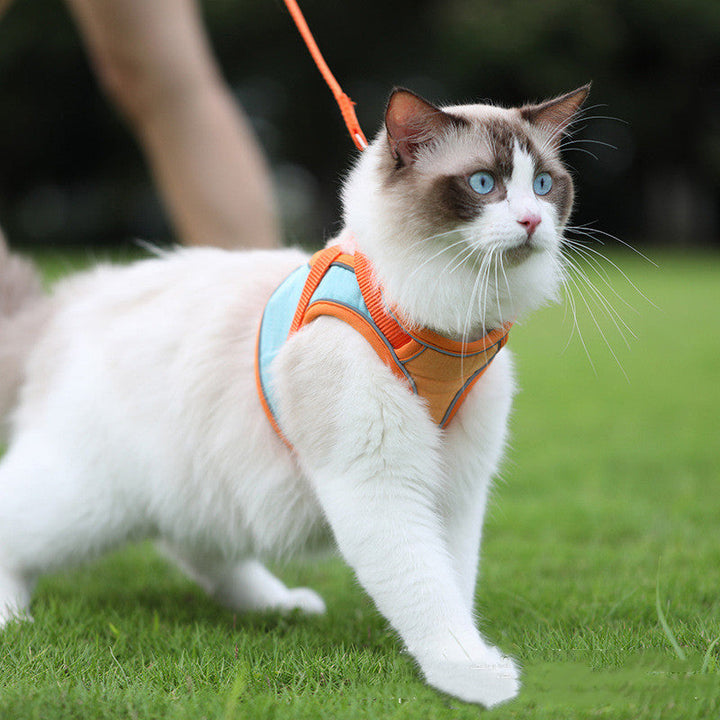 CAT COLLARS & HARNESSES