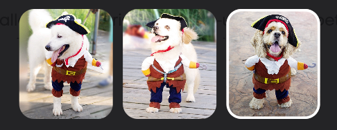 Pirate Dog Suit Pet Makeup Outfit