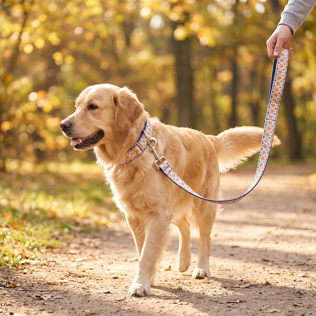 Durable Pet Collar and Leash Walking Set