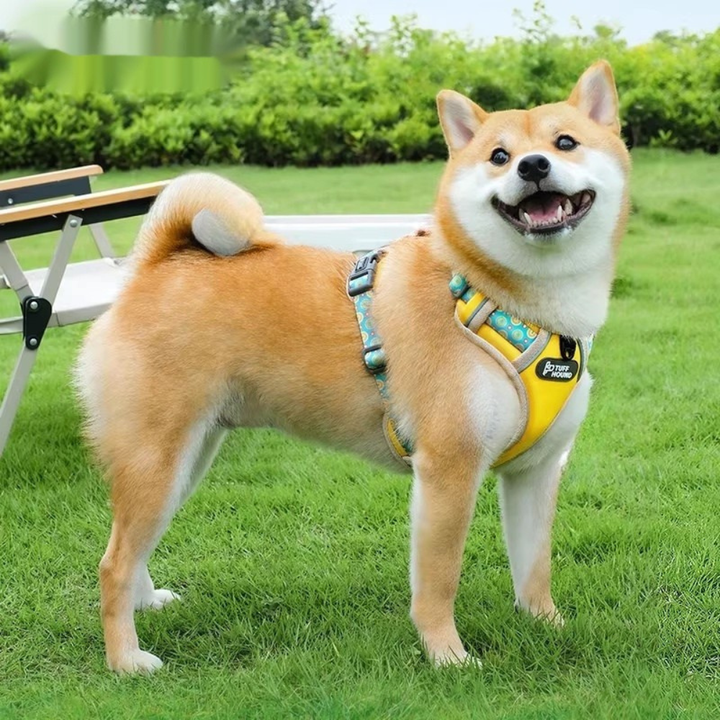 Vest Style Pet Harness Leash